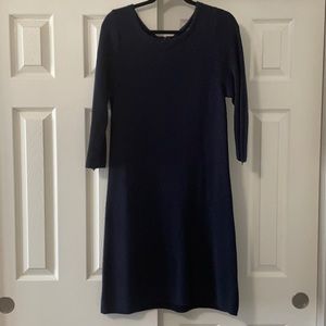 Loft Sweater Dress